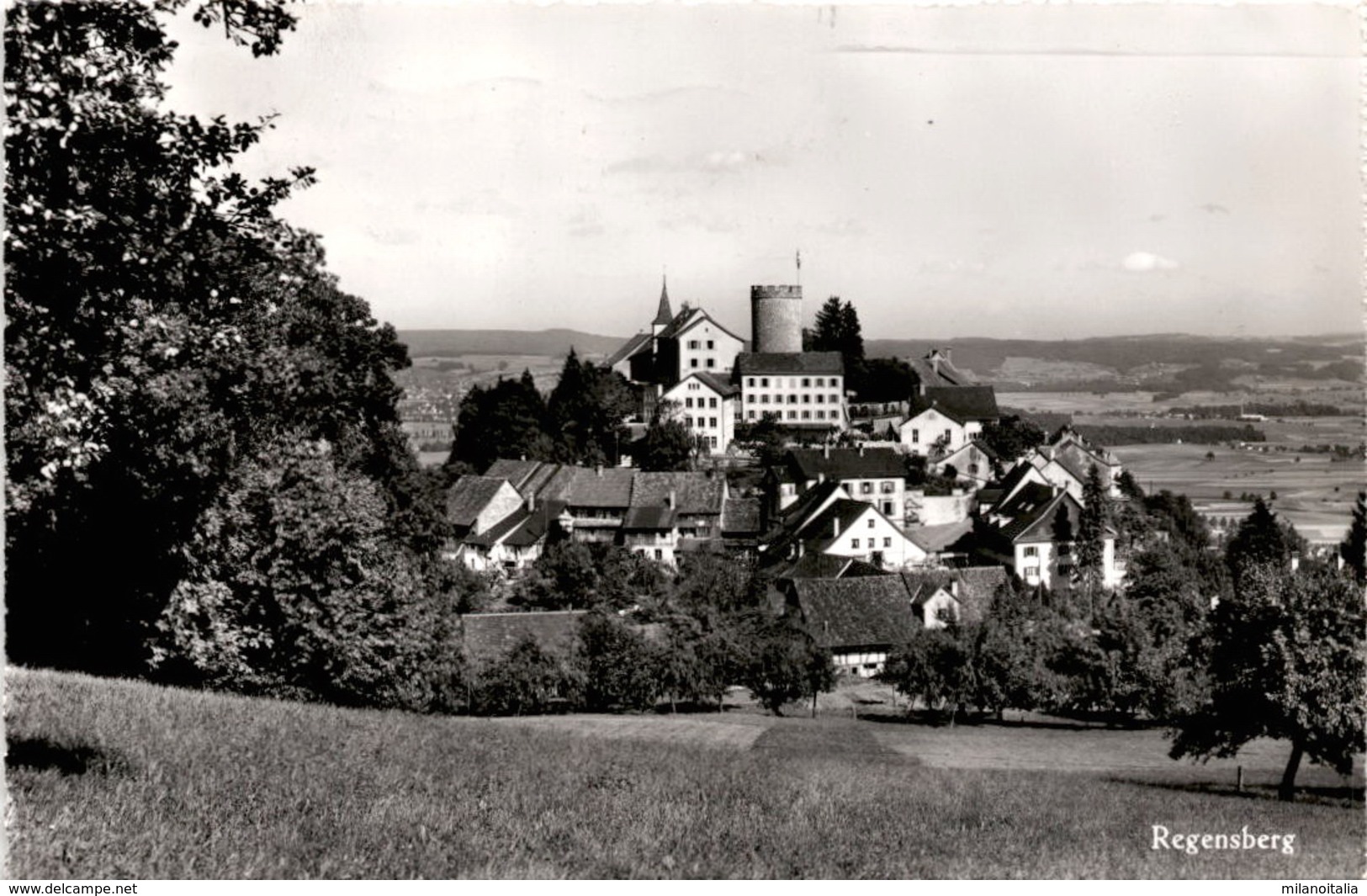 Regensberg (9883) * 19. 10. 1959 - Regensberg