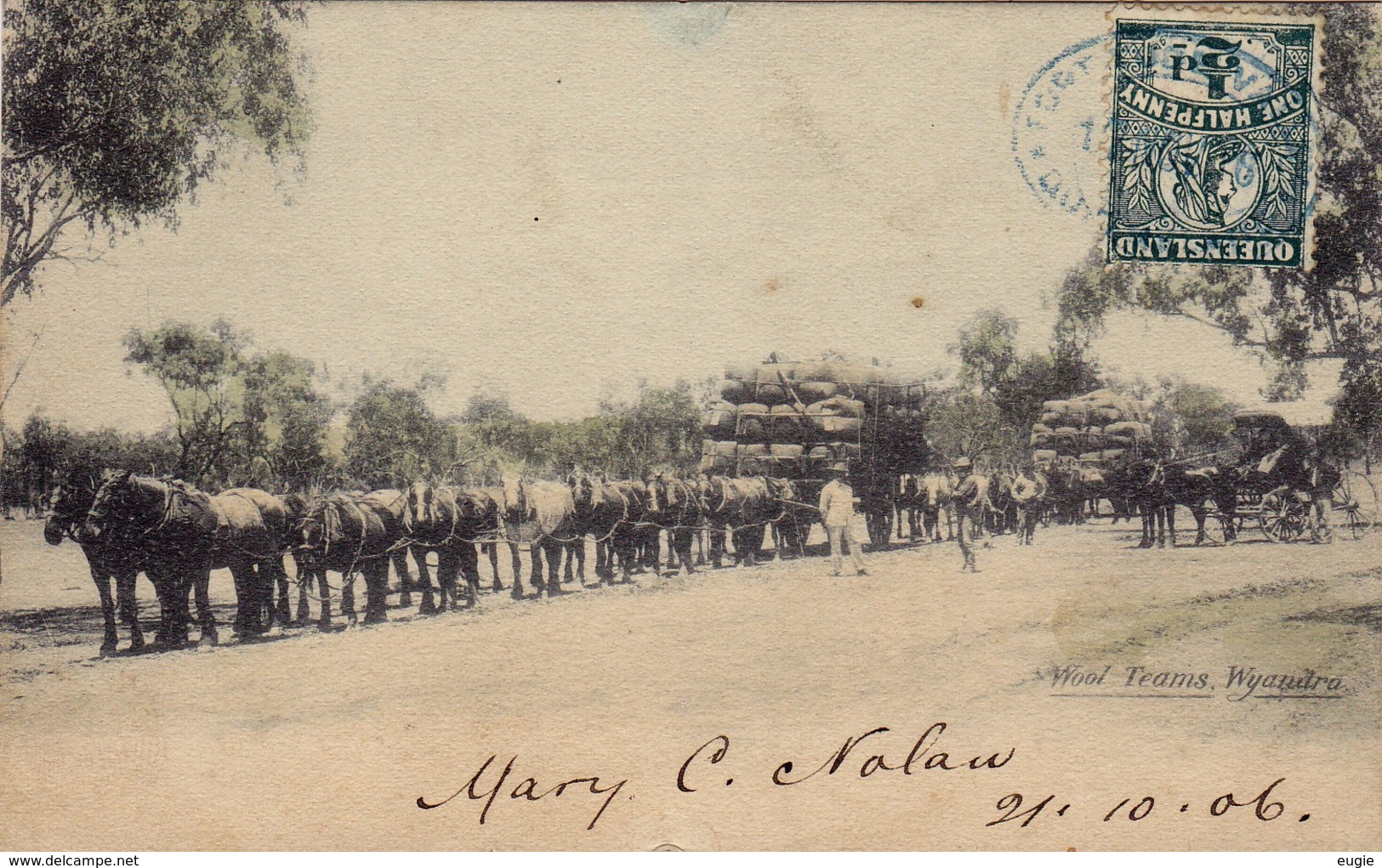 1673/ Wool Teams, Wyanilra, Shell Series, Queensland Industreis 1906 - Autres & Non Classés