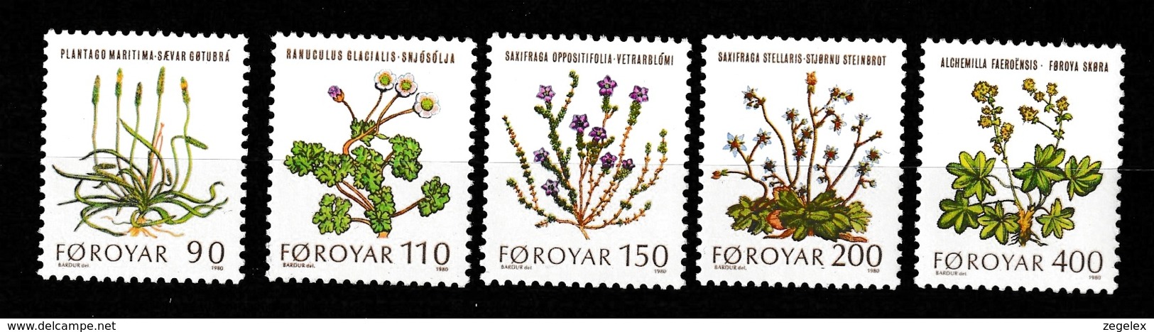 Foroyar, Faeroer 1980 Flowers - MNH/**/Postfrisch. - Faeroër