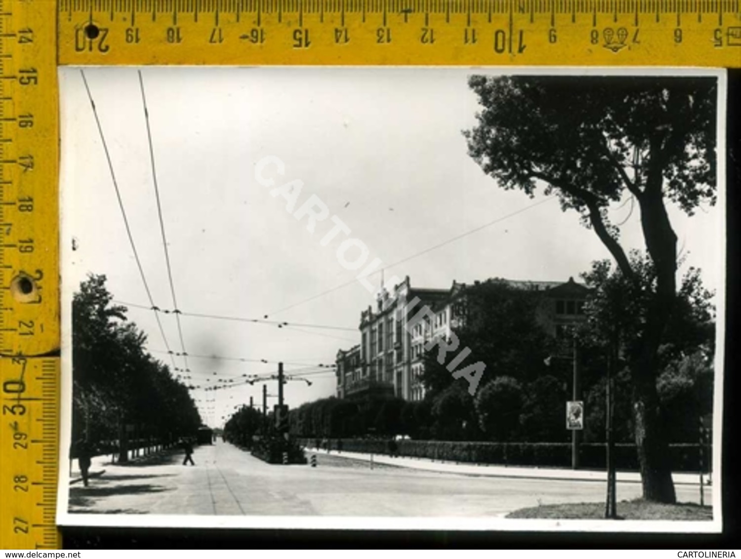 Venezia Città Lido - Venezia (Venice)