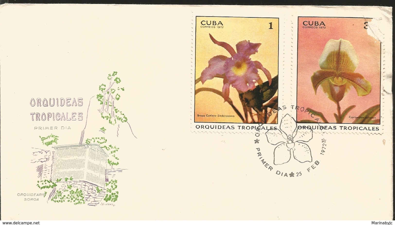 V) 1972 CARIBBEAN, TROPICAL ORCHIDS, BRASSA CATTLEYA SINDAROSSIANA, CYPRIPEDIUM SULIANUM, WITH SLOGAN CANCELATION IN BLA - Covers & Documents