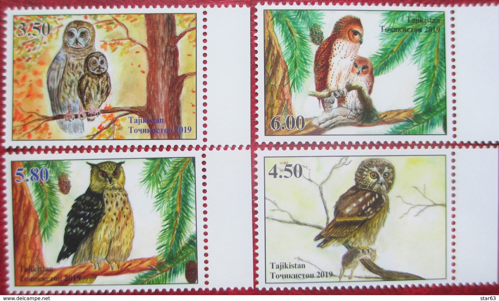 Tajikistan  2019  Owls  Eulen  4 V   Perfor.   MNH - Tadjikistan