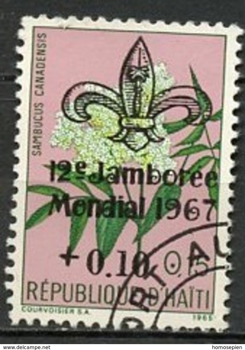 Haïti 1967 Y&T N°581 - Michel N°(?) (o) - 10cs15c Fleur - Haïti