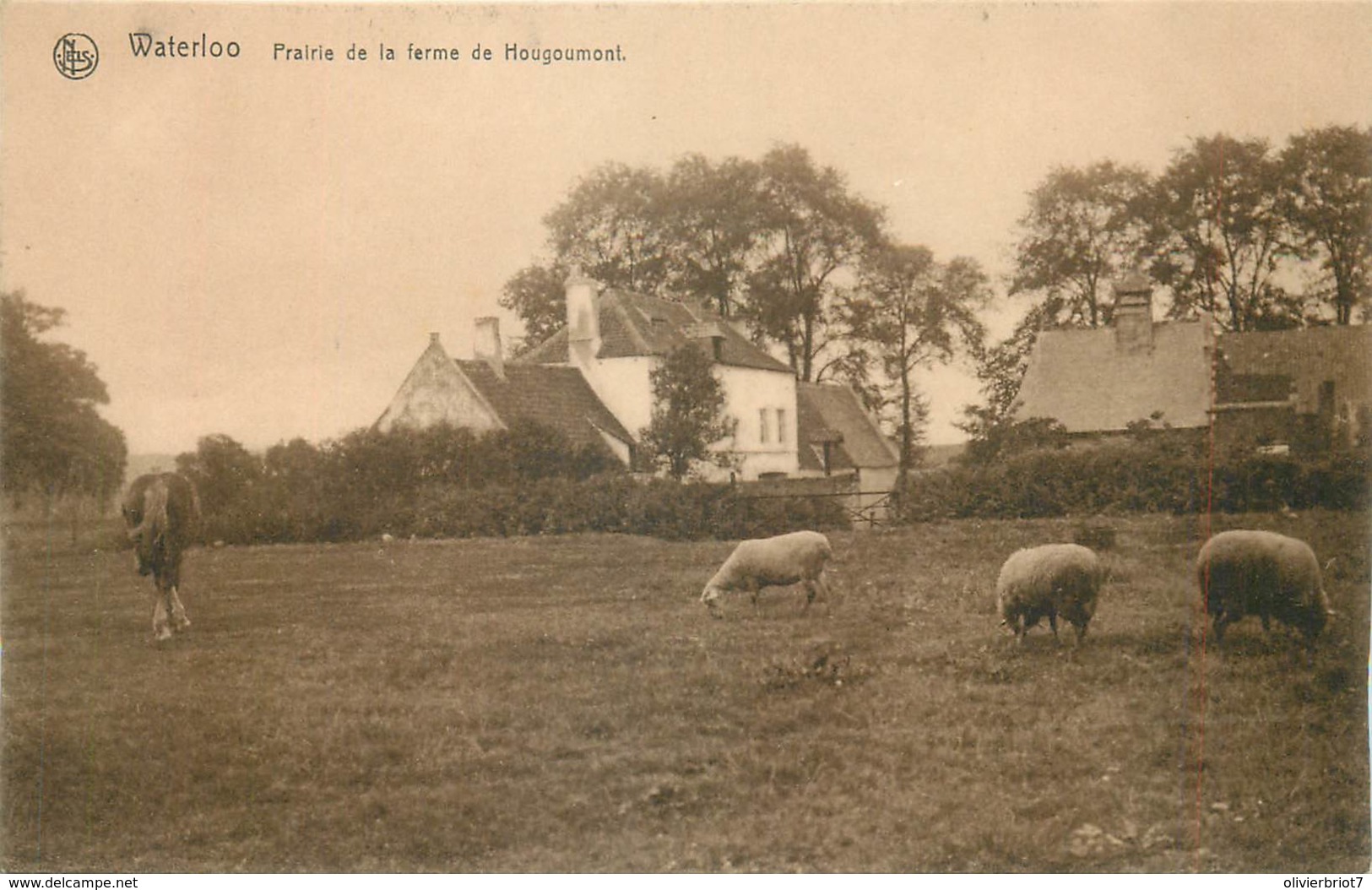 Belgique - Waterloo - Prairie De La Ferme De Hougoumont - Waterloo