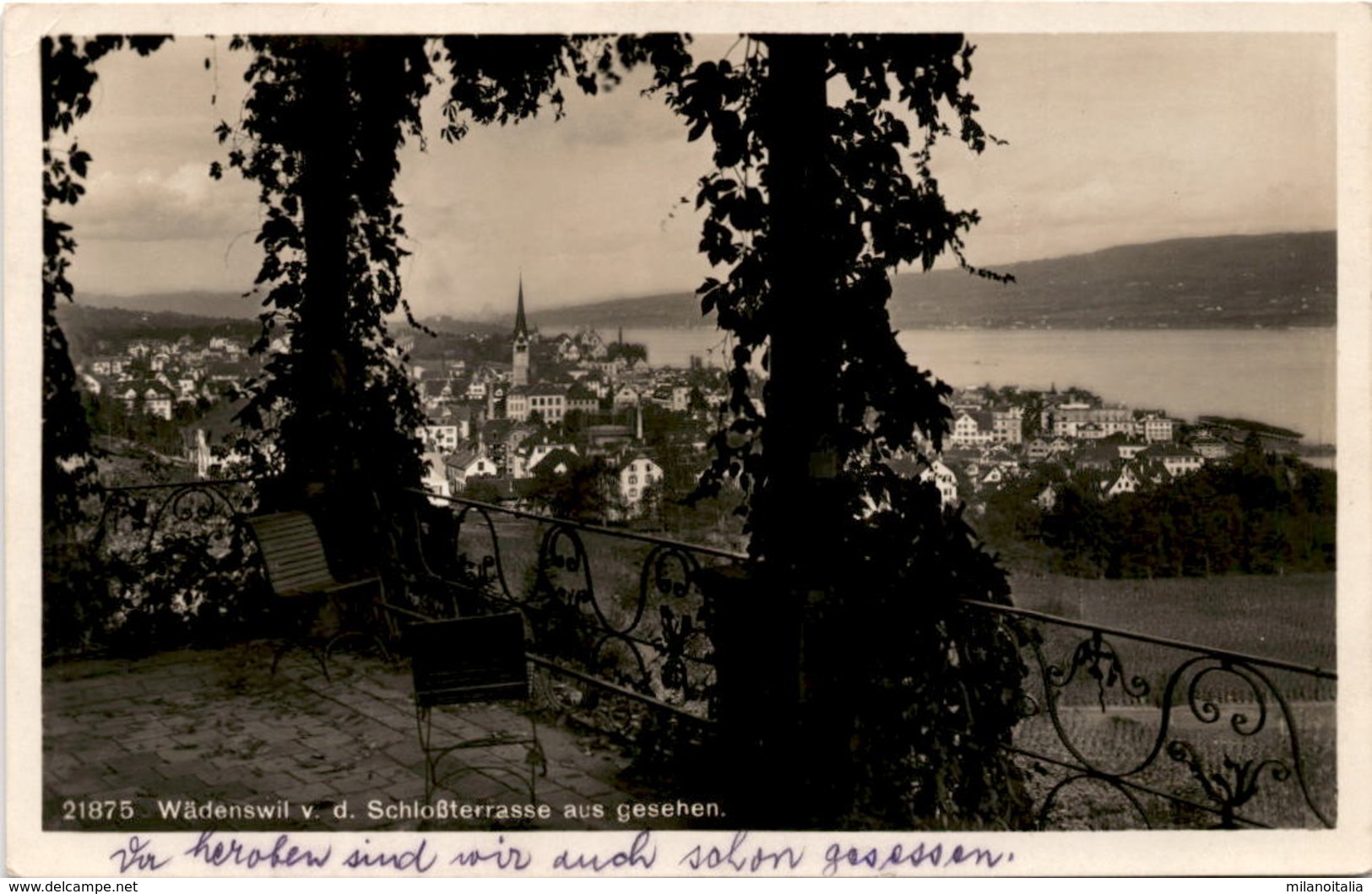 Wädenswil V. D. Schloßterrasse Aus Gesehen (21875) * 8. 7. 1931 - Wädenswil