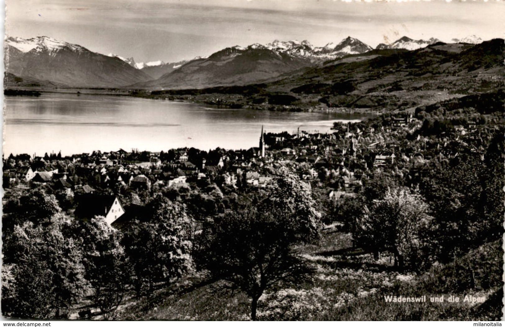 Wädenswil Und Die Alpen (7608) * 28. 9. 1947 - Wädenswil