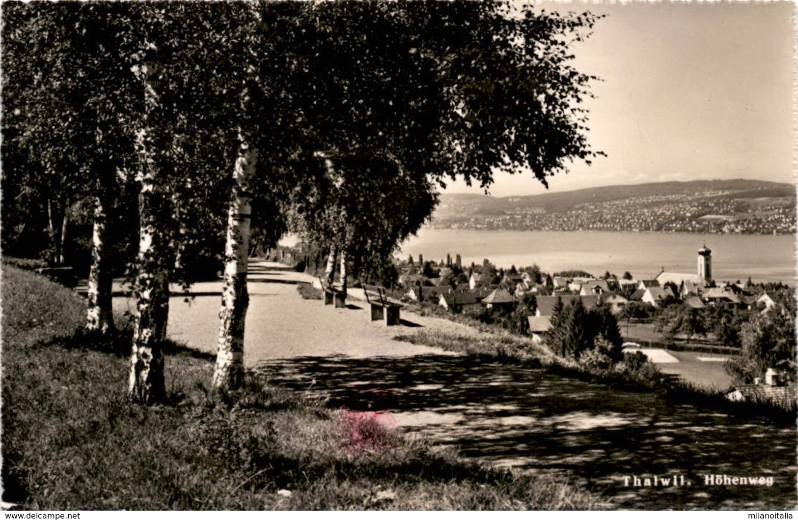 Thalwil - Höhenweg (10213) * 28. 11. 1952 - Thalwil