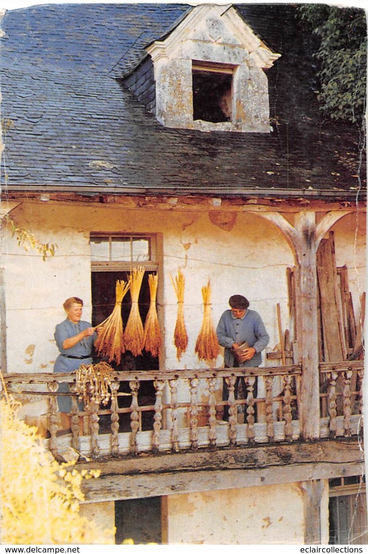 Thème.  Métiers Divers: Bois     49 Fontaine Millon .   Séchage Du Millet A Balais   10x15  (Voir Scan) - Other & Unclassified