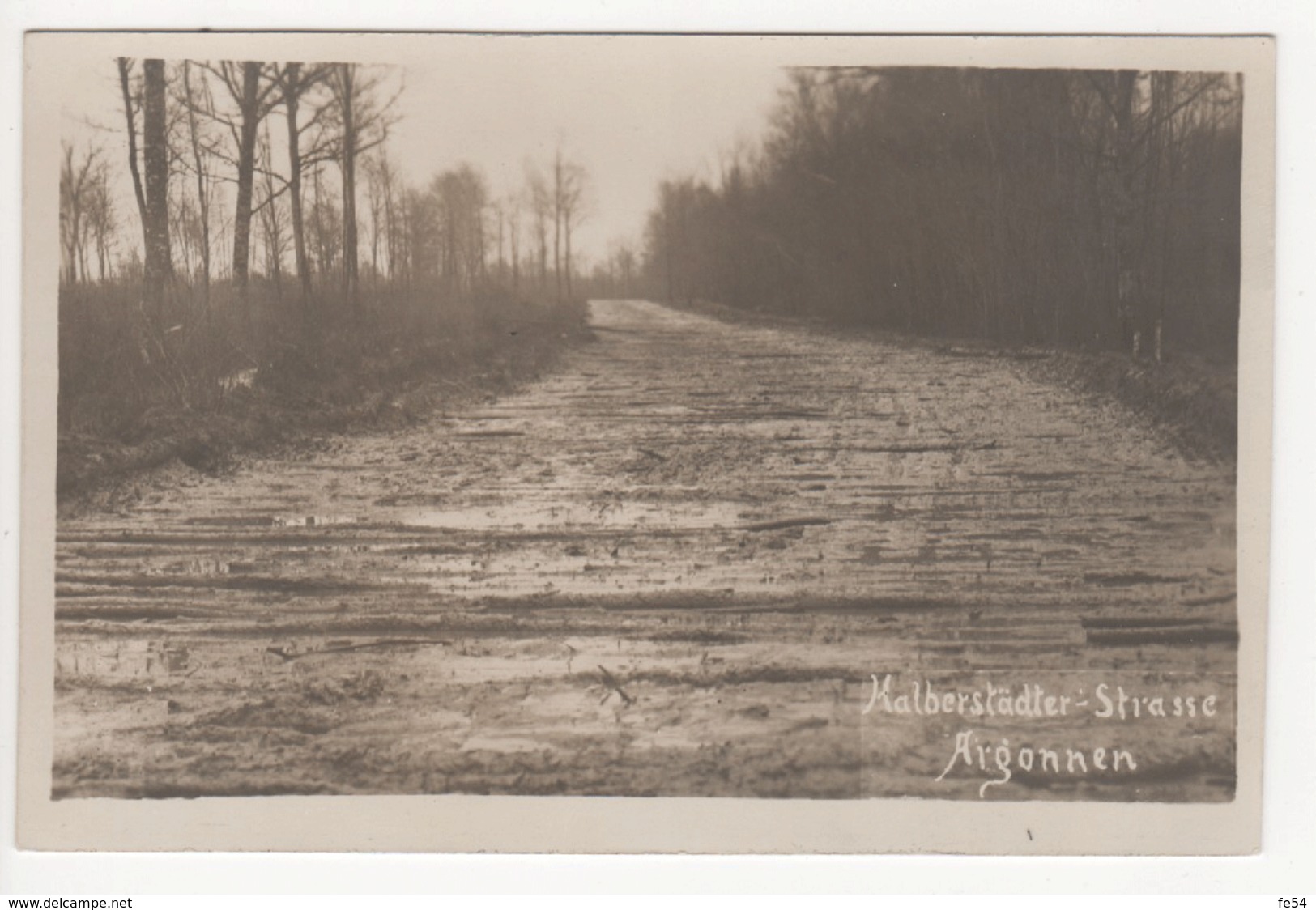 ° 55 ° WW1 ° ARGONNE ° 1915 ° HALBERSTÄDTER - STRASSE ° CARTE PHOTO ALLEMANDE ° - Sonstige & Ohne Zuordnung