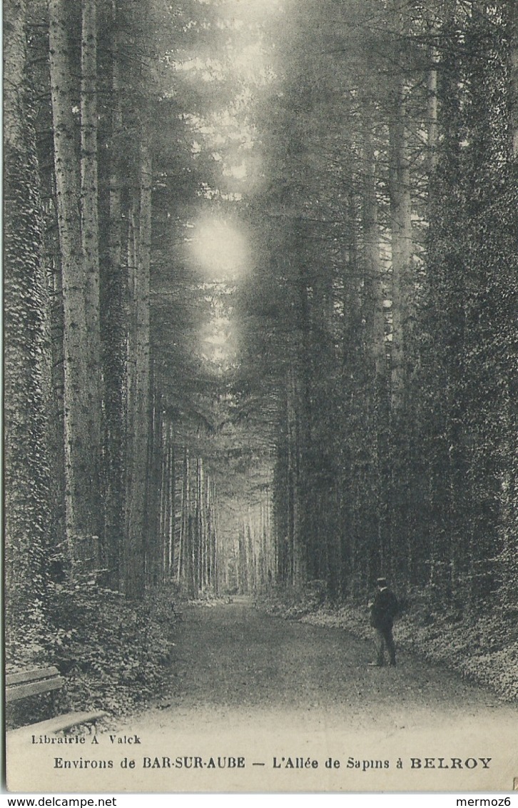 Allee De Sapins à Belroy Environs De Bar Sur Aube Librairie Valck Carte Animee Homme 1921 - Autres & Non Classés