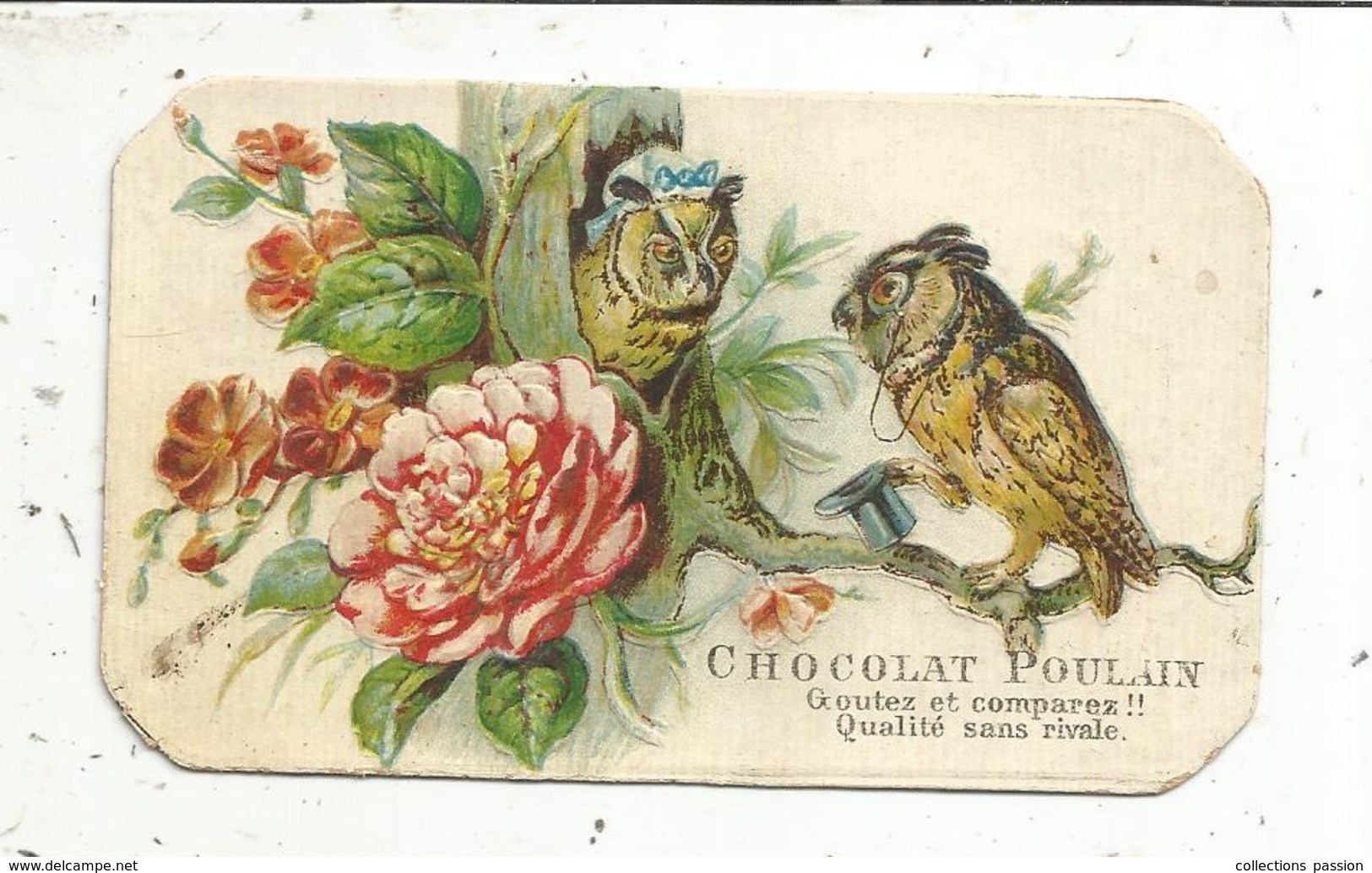 Chromo, CHOCOLAT POULAIN , Chouette , Hibou , Gaufré, 2 Scans - Poulain