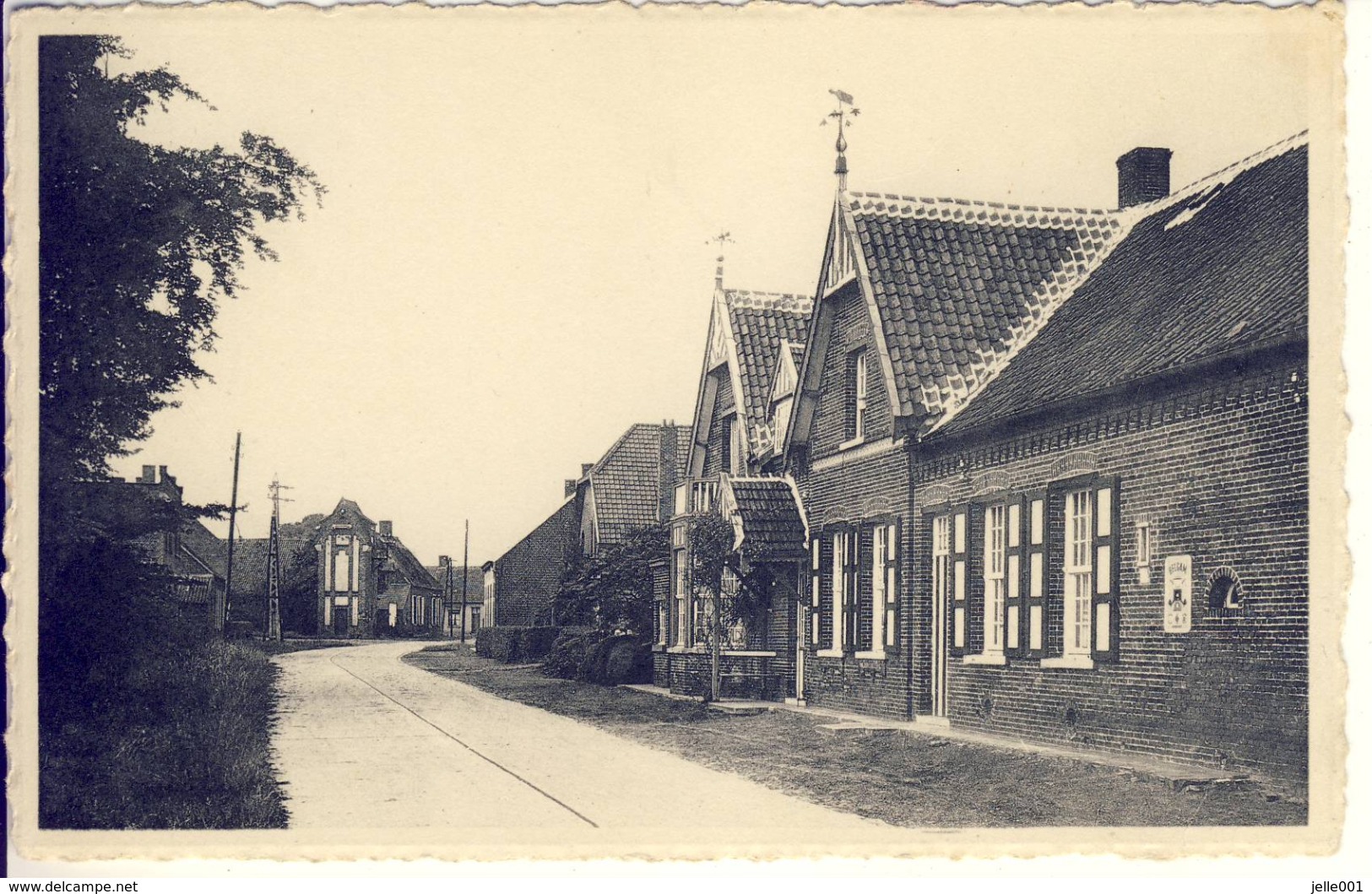 Wortel Hoogstraten Grote Plaats - Hoogstraten