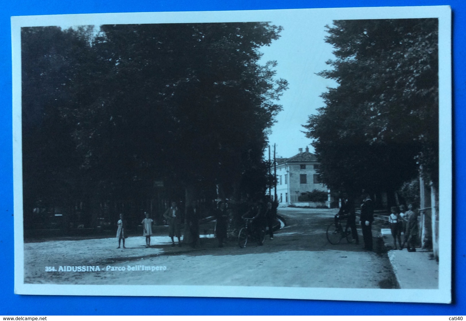 AIDUSSINA  PARCO DELL'IMPERO CARTOLINA CON ANNULLO  AIDUSSINA VAG.RISP.*GORIZIA* 28/12/39 - Autres & Non Classés