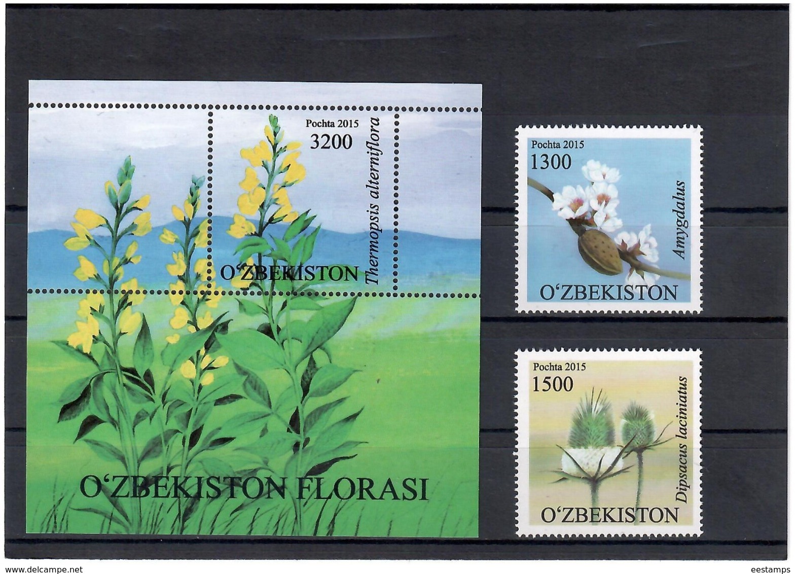 Uzbekistan 2015 . Flora. 2v + S/S; 1300, 1500, +3200   Michel # 1126-27 + BL 75 - Uzbekistan