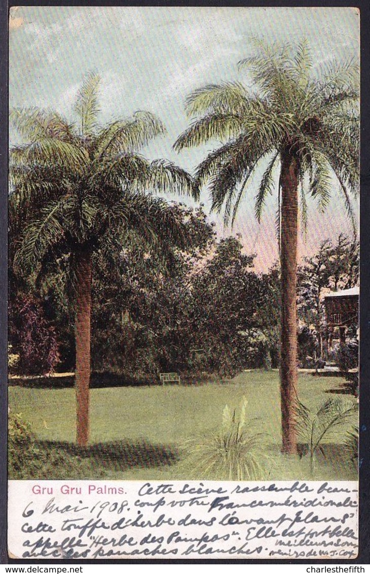 BERMUDA - GRU GRU PALMS - SEND FROM HAMILTON TO LANGRES ( FRANCE ) In 1908 ! - Bermuda