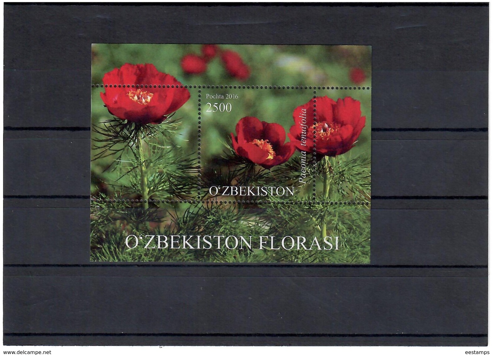 Uzbekistan 2016 .Flora Of Uzbekistan.  S/S : 2500  Michel #  BL 80 - Uzbekistan