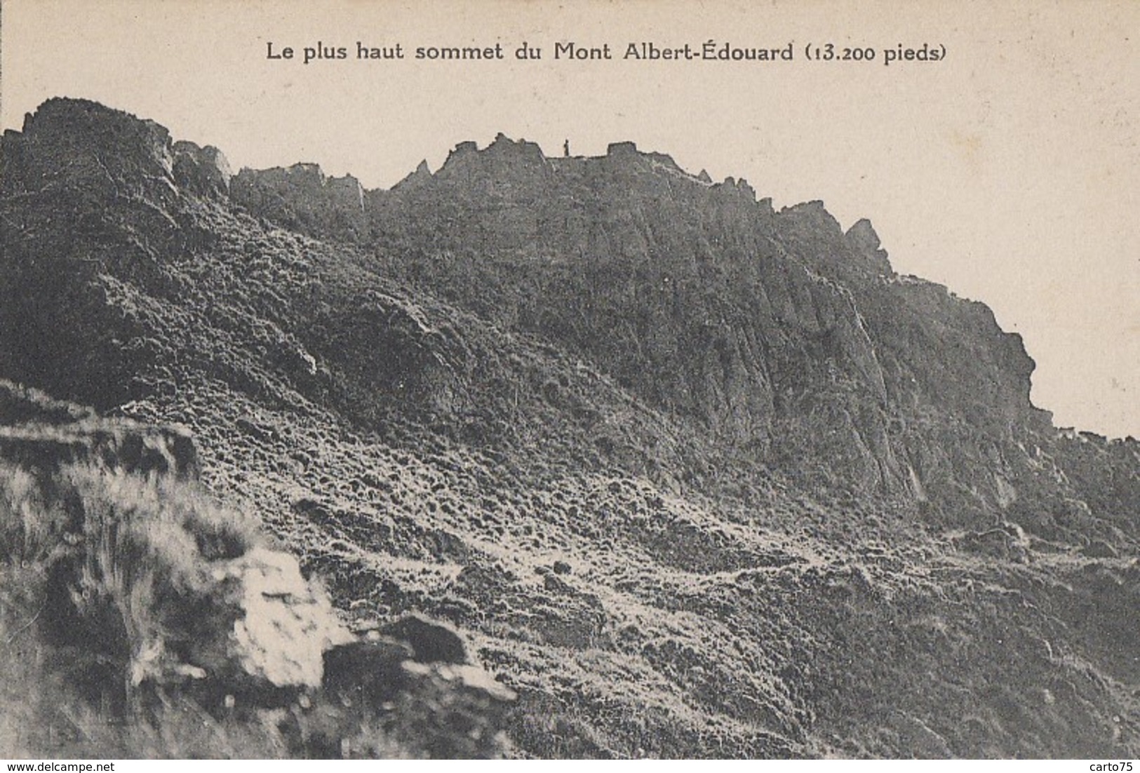 Océanie - Papouasie Nouvelle-Guinée - Le Plus Haut Sommet Du Mont Albert-Edouard - Papua Nueva Guinea