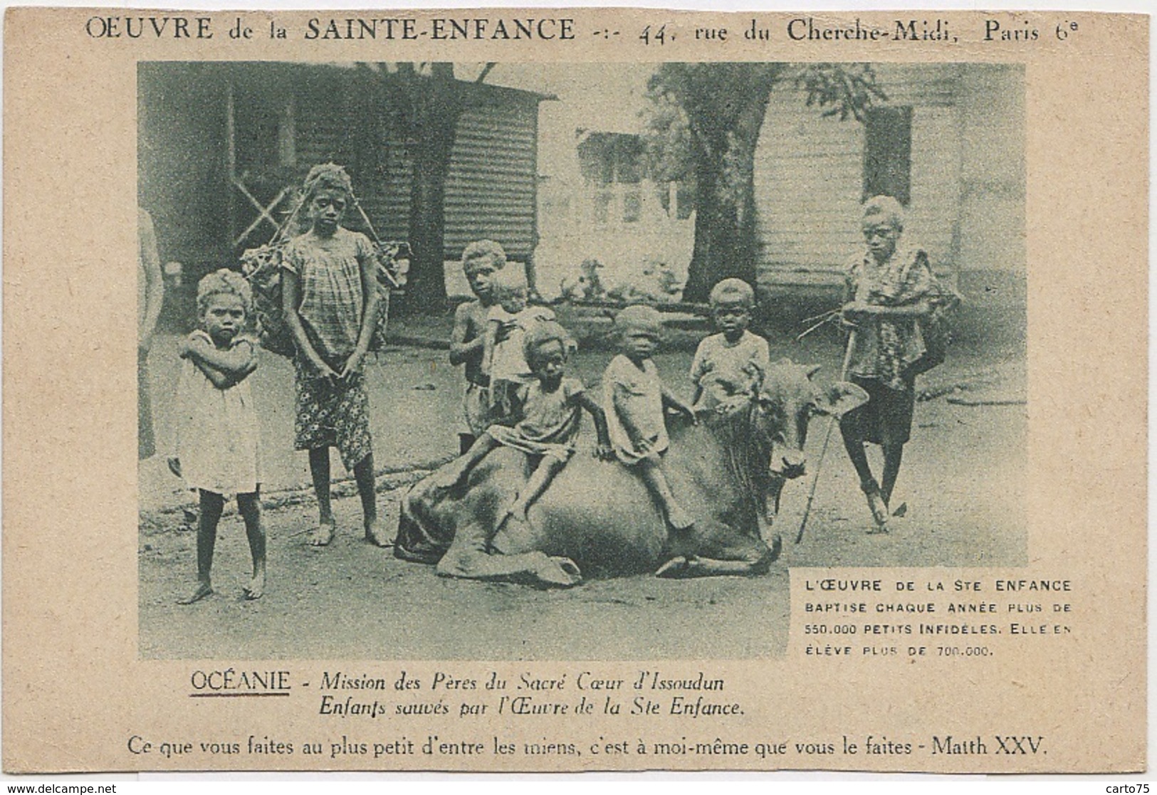 Missions - Océanie - Mission Des Pères Du Sacré Coeur D'Issoudun - Enfance - Vache - Missions