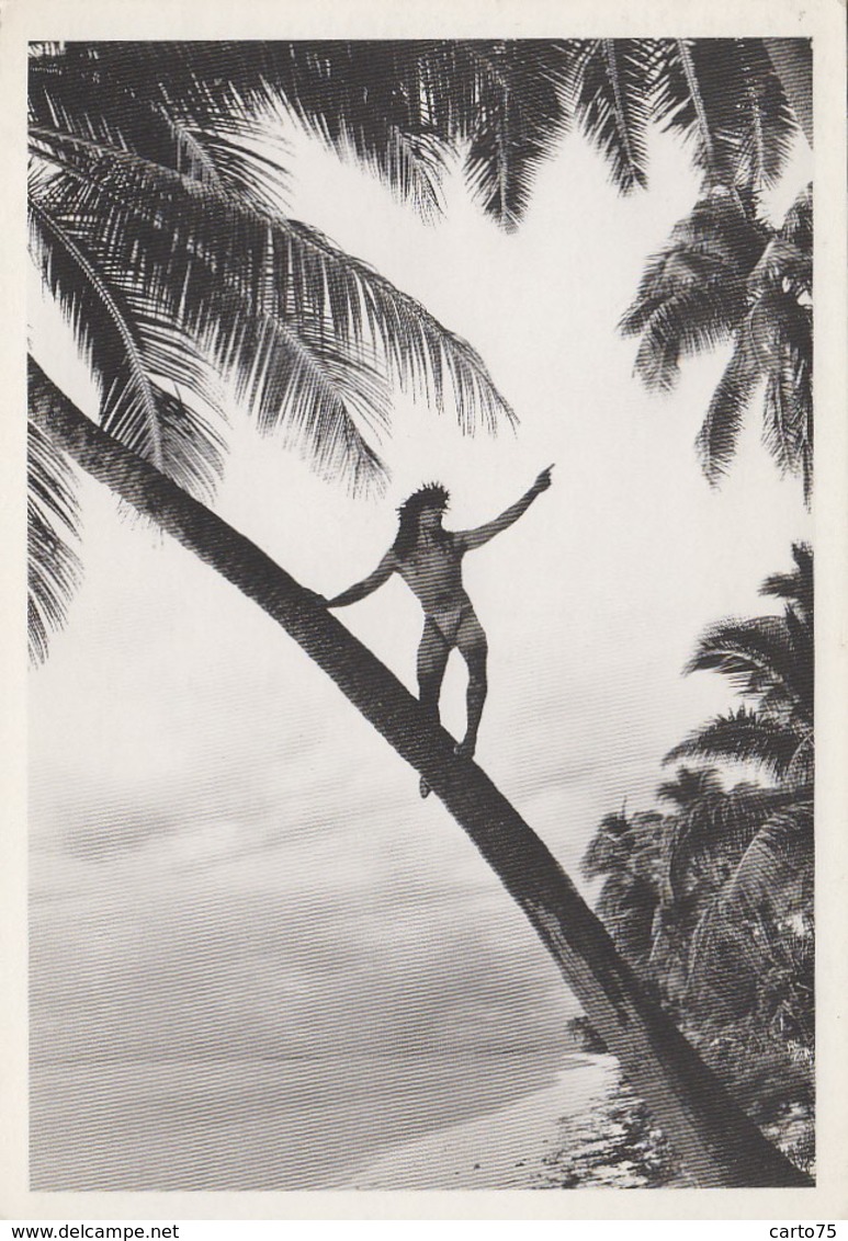 Océanie - Tahiti - Photo Gian Paolo Barbieri - Tatouage - Homme Sur Un Cocotier - Tahiti