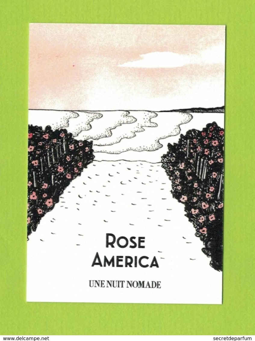 Cartes Parfumées  CARTE  ROSE AMERICA  De UNE NUIT NOMADE RECTO VERSO - Modernes (à Partir De 1961)