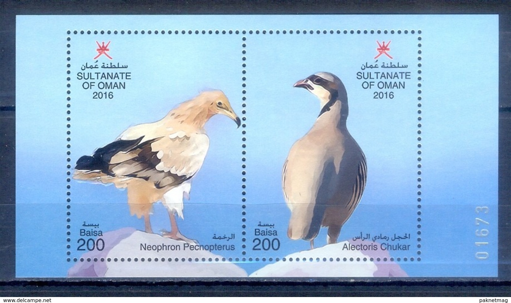 J157- Fauna Of Oman 2016. Birds. Neophron Pecnopterus & Alectoris Chukar. - Oman