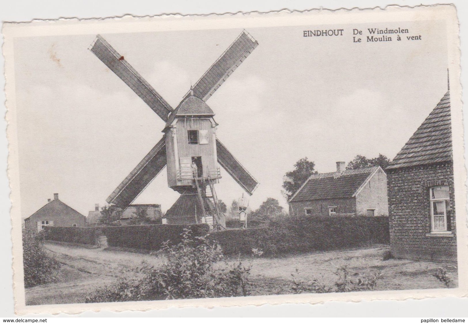 Laakdal  EINDHOUT   De Windmolen  Le Moulin à Vent - Laakdal