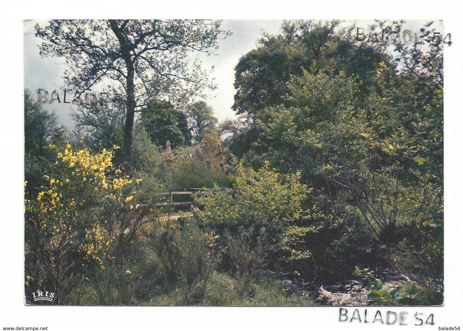 CPM - Environs D'USSEL (19) Vallée De La SARSONNE (flamme Ussel 1972) - Ussel