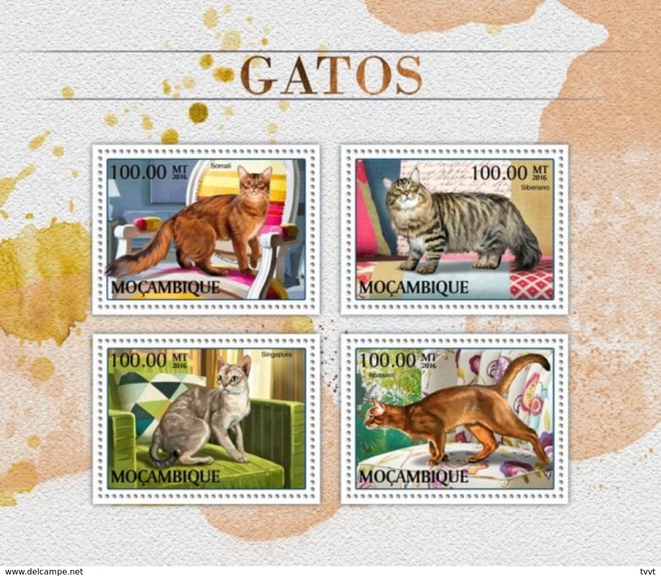 Mozambique, 2016. [moz16501] Cats (s\s+block) - Hauskatzen