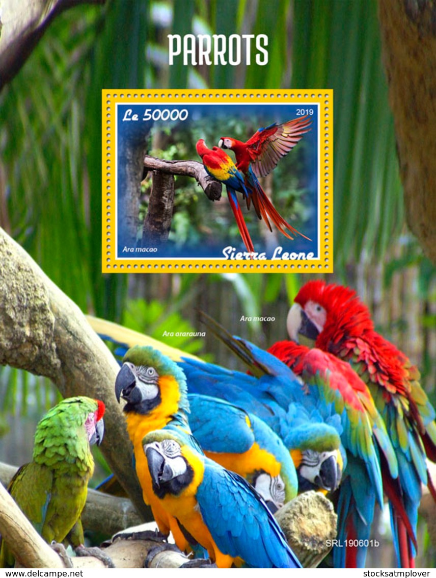 Sierra Leone 2019 Fauna Parrots S201908 - Sierra Leone (1961-...)