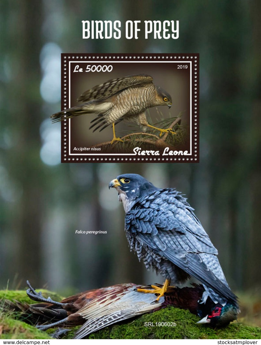 Sierra Leone 2019 Fauna Birds Of Prey S201908 - Sierra Leone (1961-...)