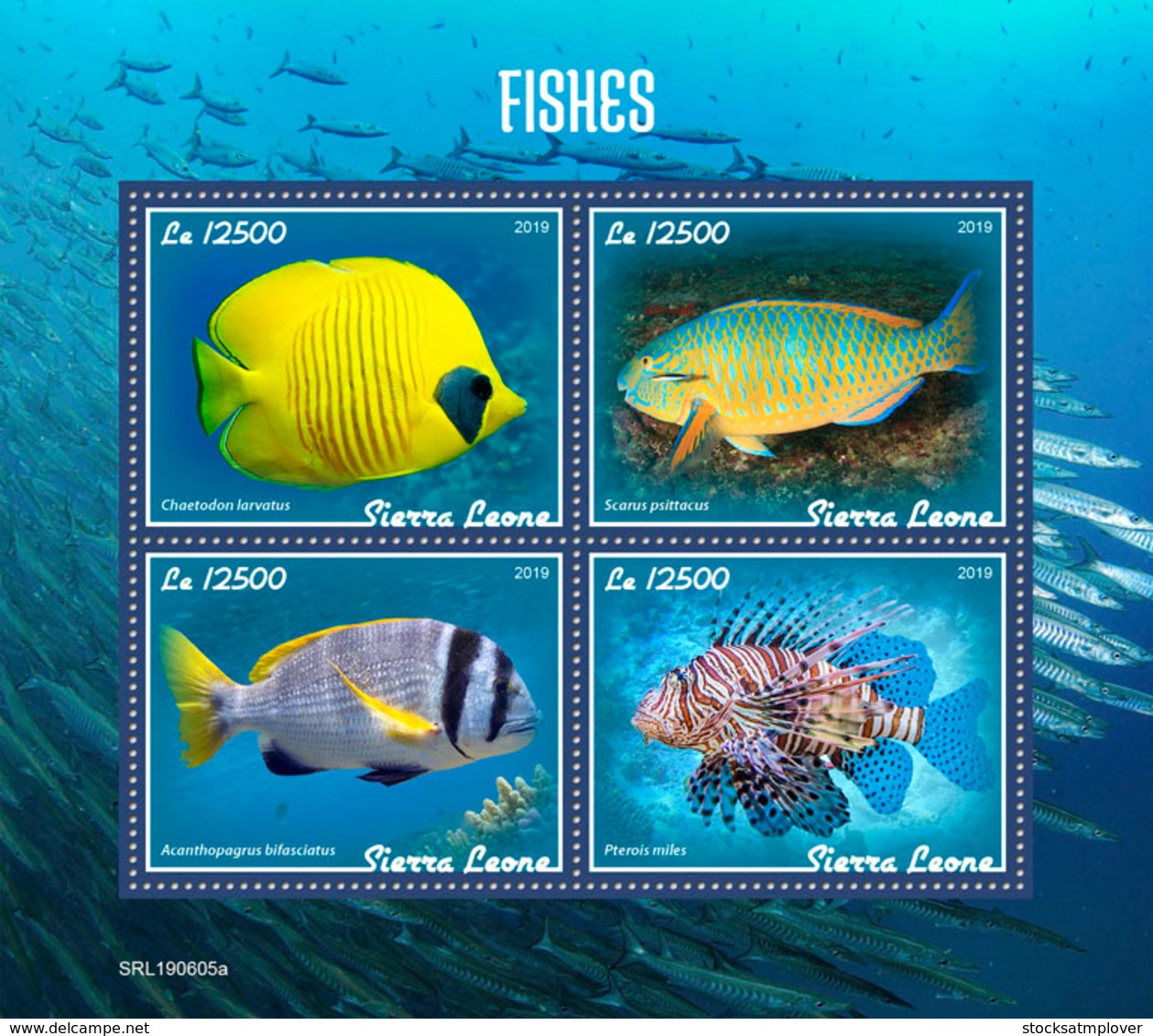 Sierra Leone 2019 Fauna Fishes  S201908 - Sierra Leone (1961-...)