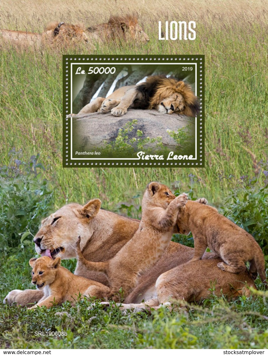 Sierra Leone 2019 Fauna Lions S201908 - Sierra Leone (1961-...)