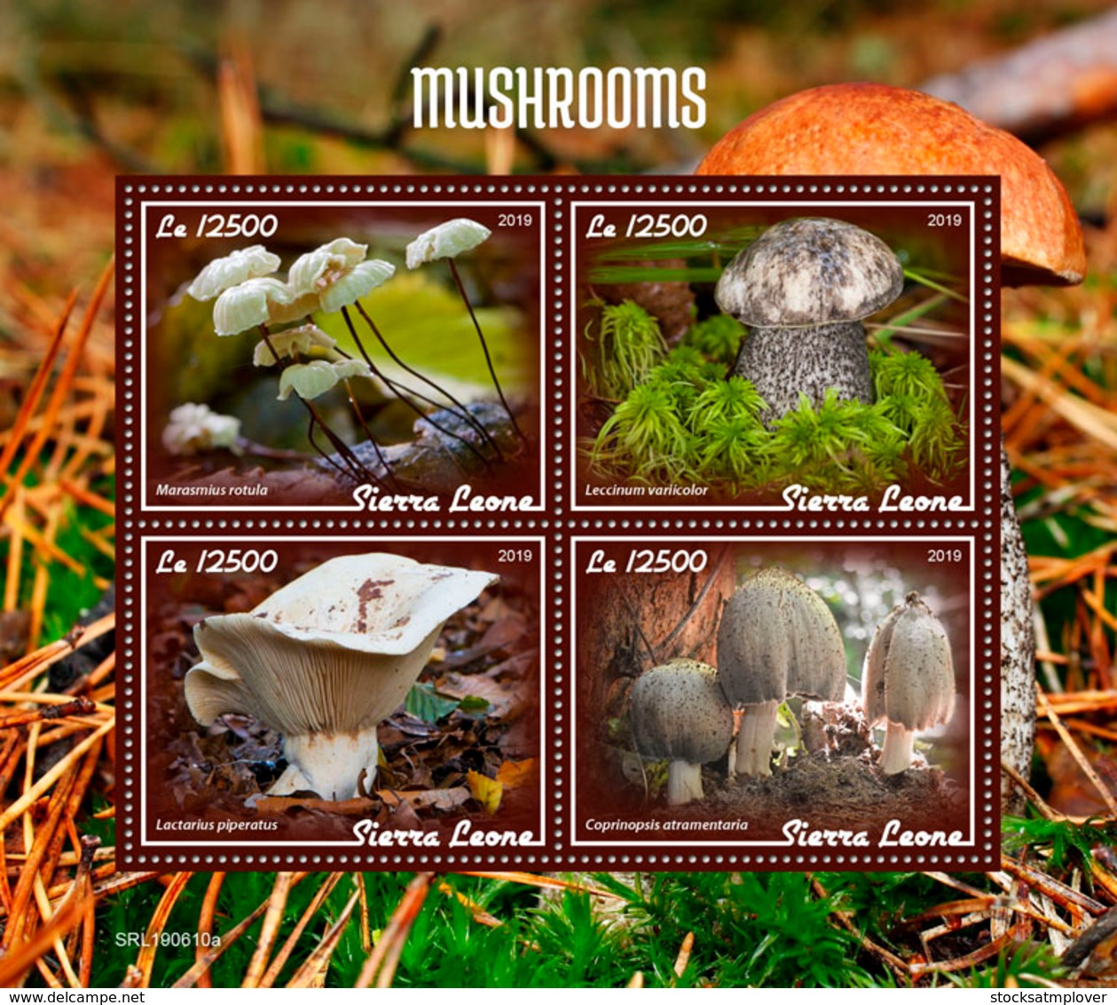 Sierra Leone 2019 MushroomsS201908 - Sierra Leone (1961-...)