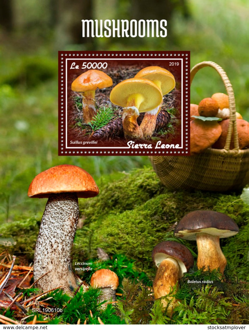 Sierra Leone 2019 Mushrooms S201908 - Sierra Leone (1961-...)