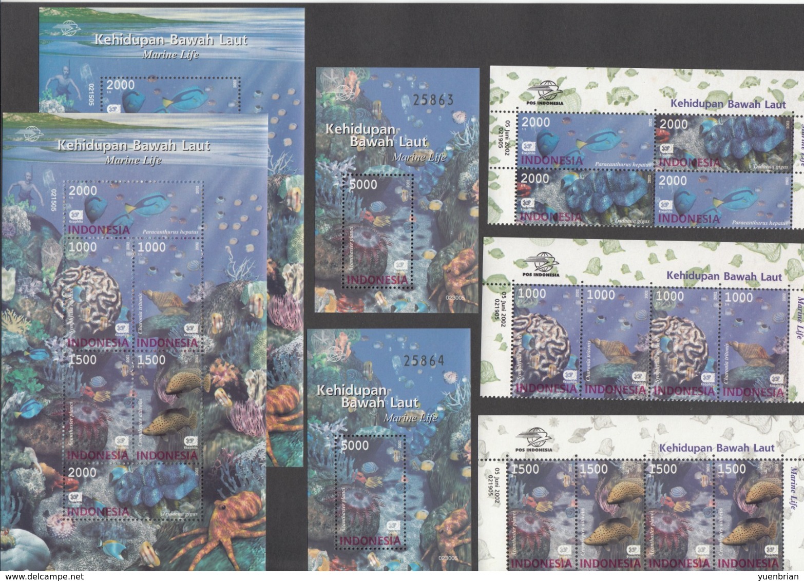 Indonesia 2002, Marine Life, Sea Shell, Fishes, Coral, 2x Set Of 6v + 2x S/S + 2x M/S, MNH** - Indonesia