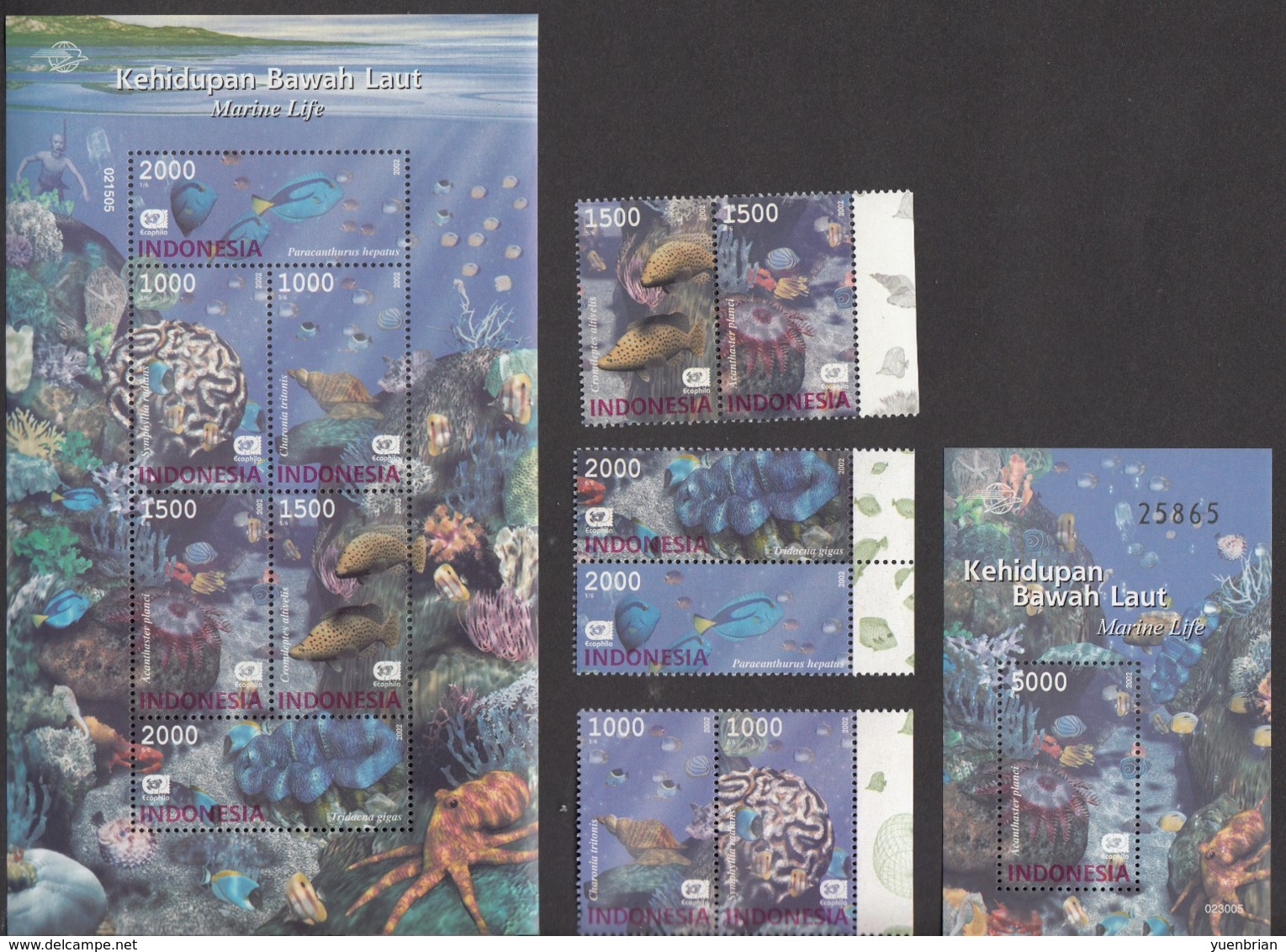 Indonesia 2002, Marine Life, Sea Shell, Fishes, Coral, Set Of 6v + S/S + M/S, MNH** - Indonesia