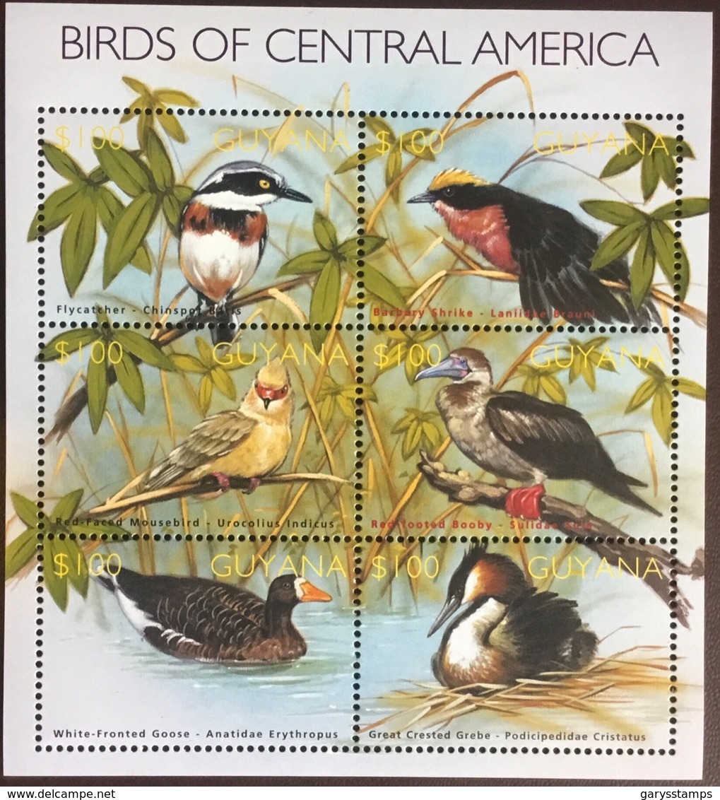 Guyana 2002 Birds Of Central America Sheetlet MNH - Other & Unclassified