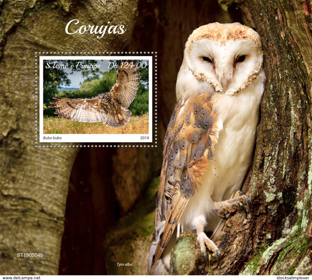 Sao Tome  2019  Fauna Owls  S201908 - Sao Tome And Principe