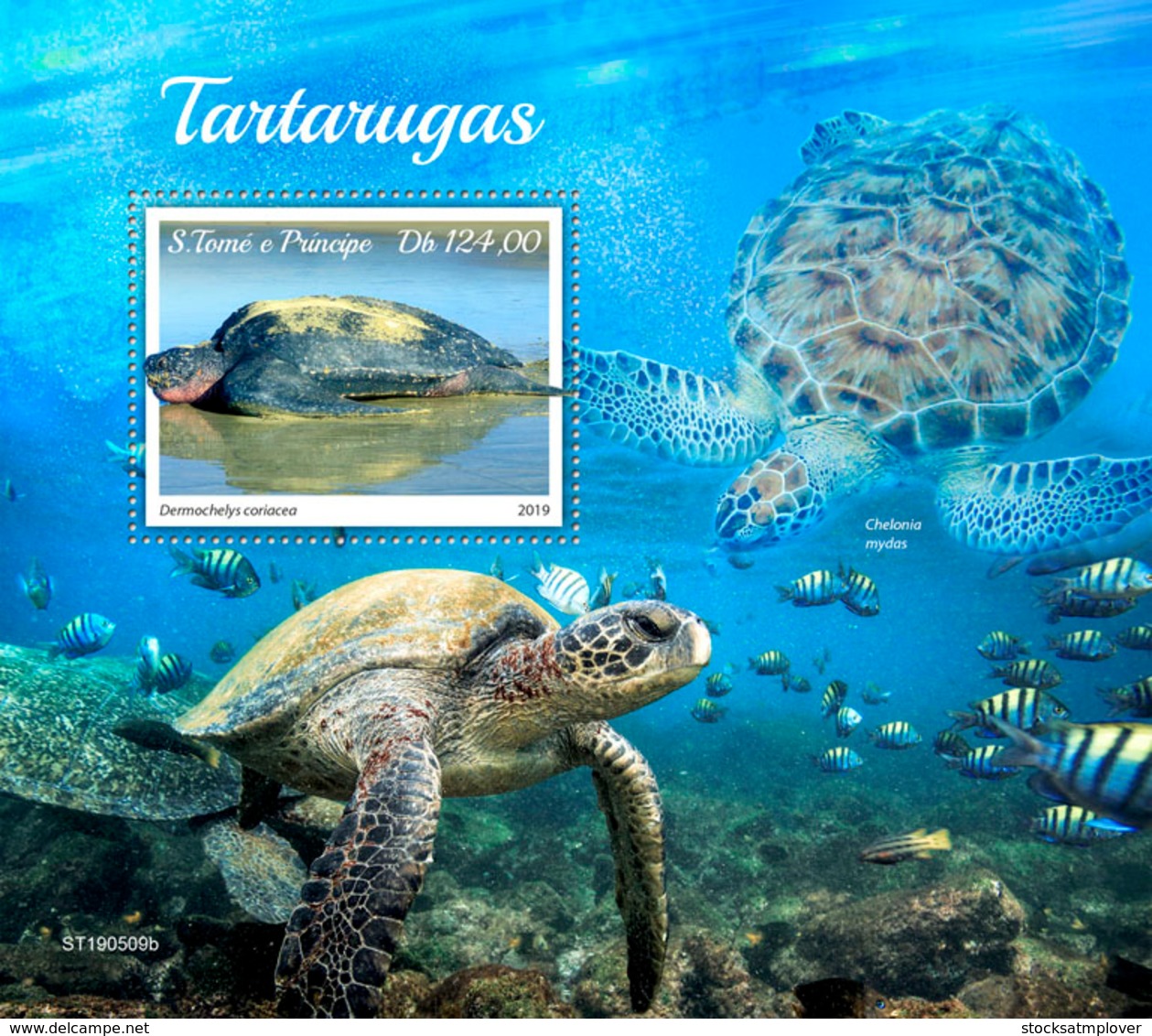 Sao Tome  2019  Fauna  Turtles S201908 - Sao Tome And Principe
