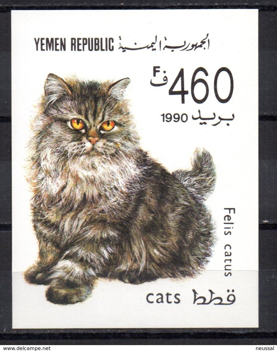 Hb-4  Yemen - Gatos Domésticos