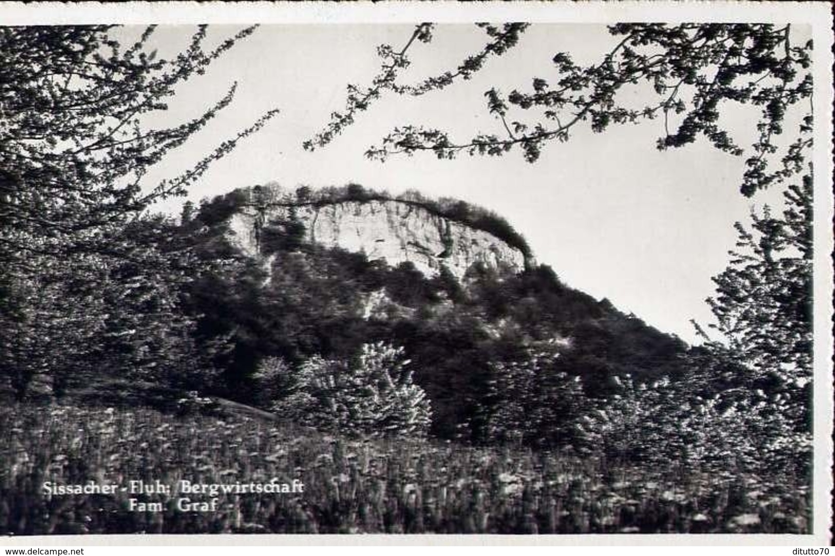 Sissacher - Fluh Bergwirtschaft Fam.graf - Formato Piccolo Viaggiata – E 13 - Altri & Non Classificati