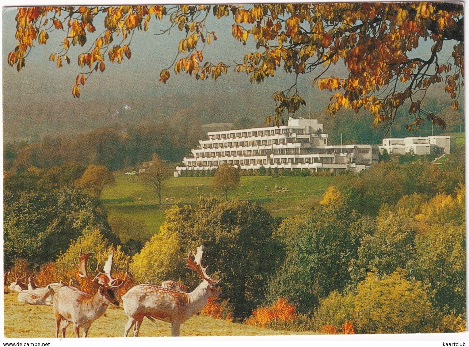 Clinique Médico-chirurgicale De Genolier / Suisse - Cerf - Genolier