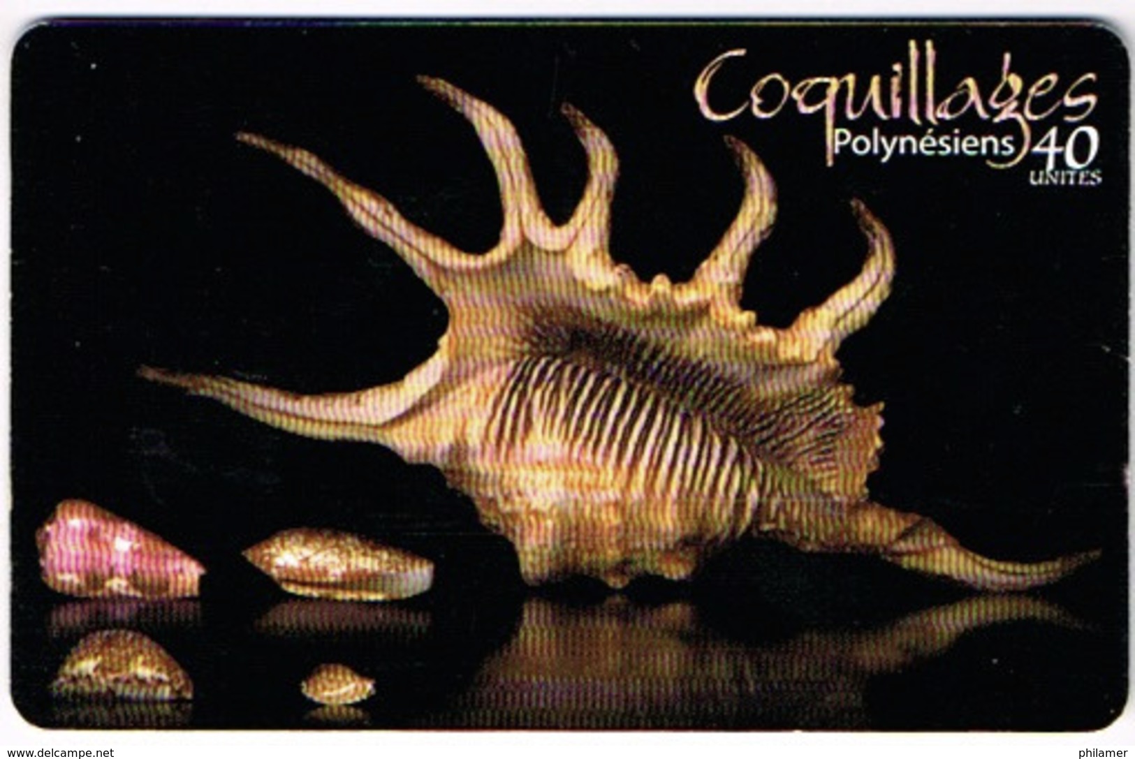 Polynesie Francaise Tahiti Telecarte Phonecard Prepaid PF Coquillage Shell Cone Porcelaine Cowrie Ut BE - Polynésie Française