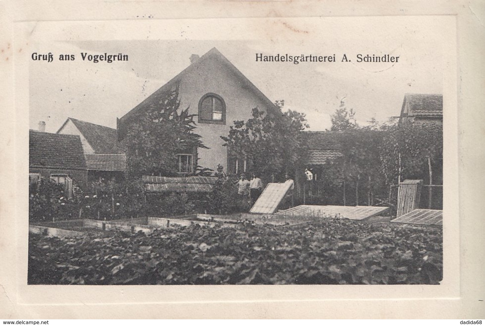 CPA - VOGELGRUN (HAUT-RHIN) - MARAÎCHER A. SCHINDLER - TOP - Vogelgruen