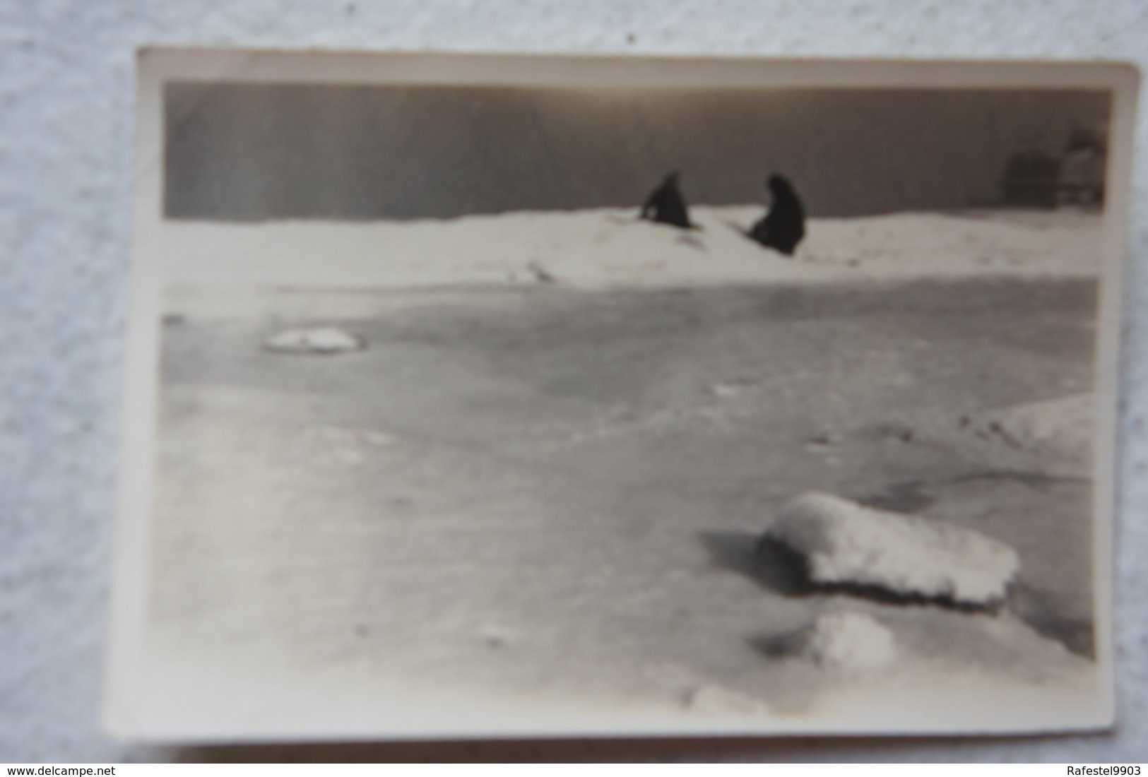 Photox3 OOSTENDE Ostende 1929 Mer Gelée Bevroren Zee Kursaal Dijck Digue Plage Kust - Lieux