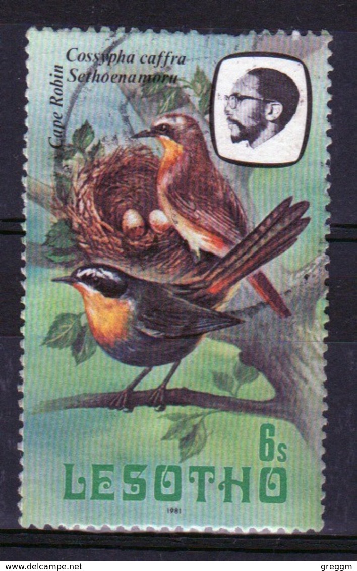 Lesotho 1981 Single 6c Stamp From The Birds Definitive Set. - Lesotho (1966-...)
