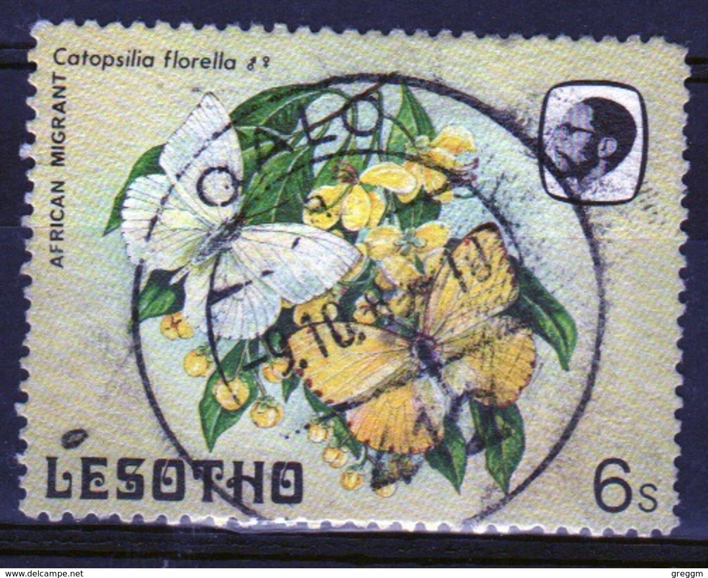 Lesotho 1984 Single 6c Stamp From The Butterflies Definitive Set. - Lesotho (1966-...)