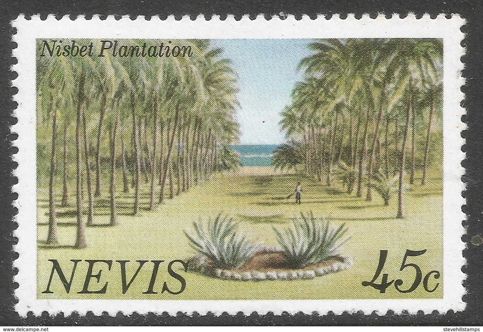 Nevis. 1981 Definitives. 45c MNH. SG 65A - St.Kitts And Nevis ( 1983-...)