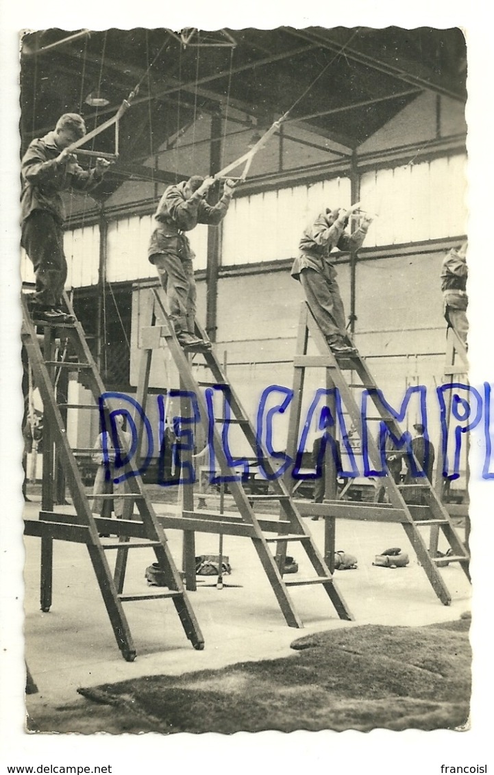 Armée Belge. Para-Commandos. Ground Training. Entraînement. 1961. Et. Marteau. Photo Véritable - Autres & Non Classés