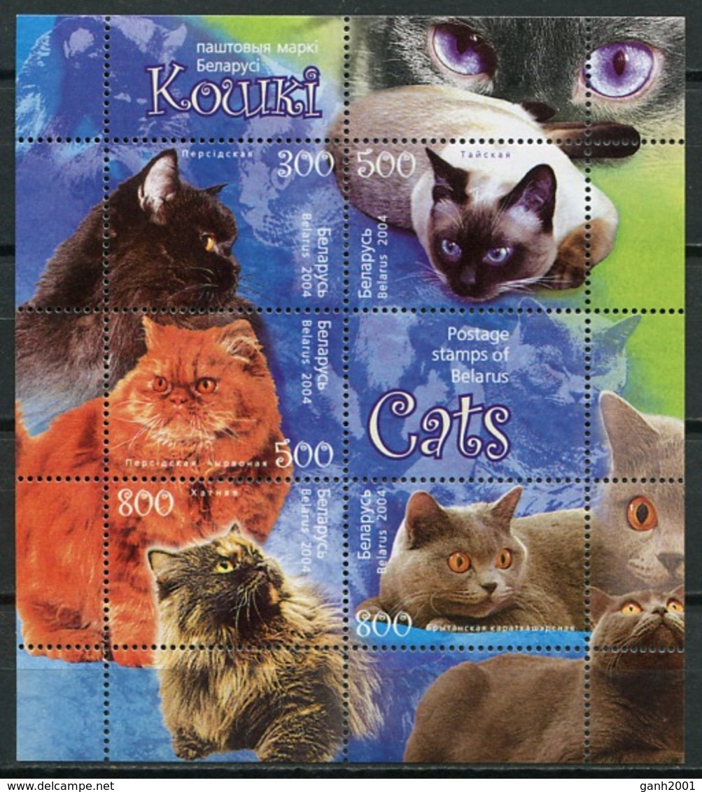 Belarus 2004 Bielorrusia / Cats MNH Gatos Katzen Chats / Cu7434  18-25 - Gatos Domésticos